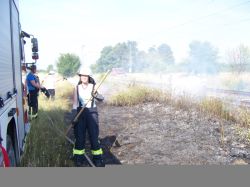 20150704 Großer Flächenbrand L566 Basheide 04